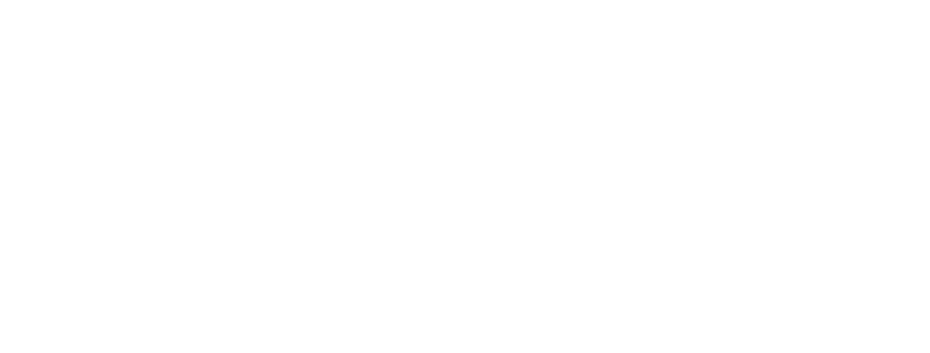vetty-all-white-logo-2022-01